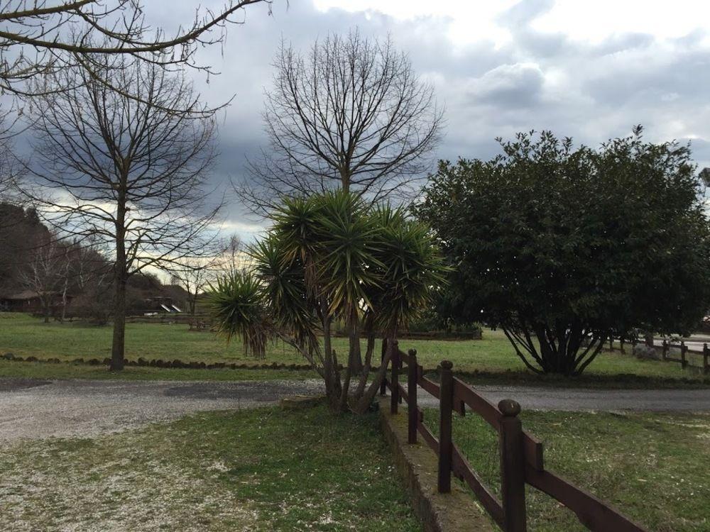 Agriturismo Monte Due Torri เจนซาโน ดิ โรมา ภายนอก รูปภาพ